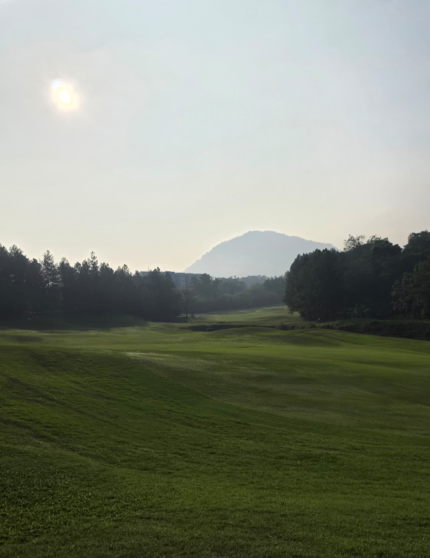 Front for Sun Sky Mountain and Earth