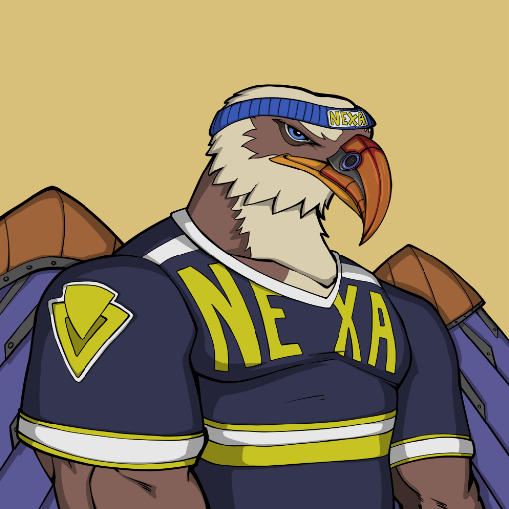 Front for Falcon416