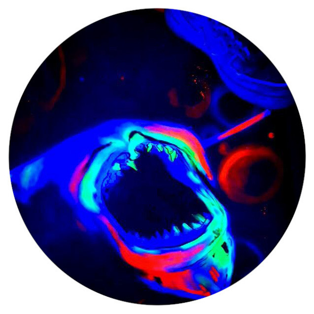 Cover image for Cryptocurrency 