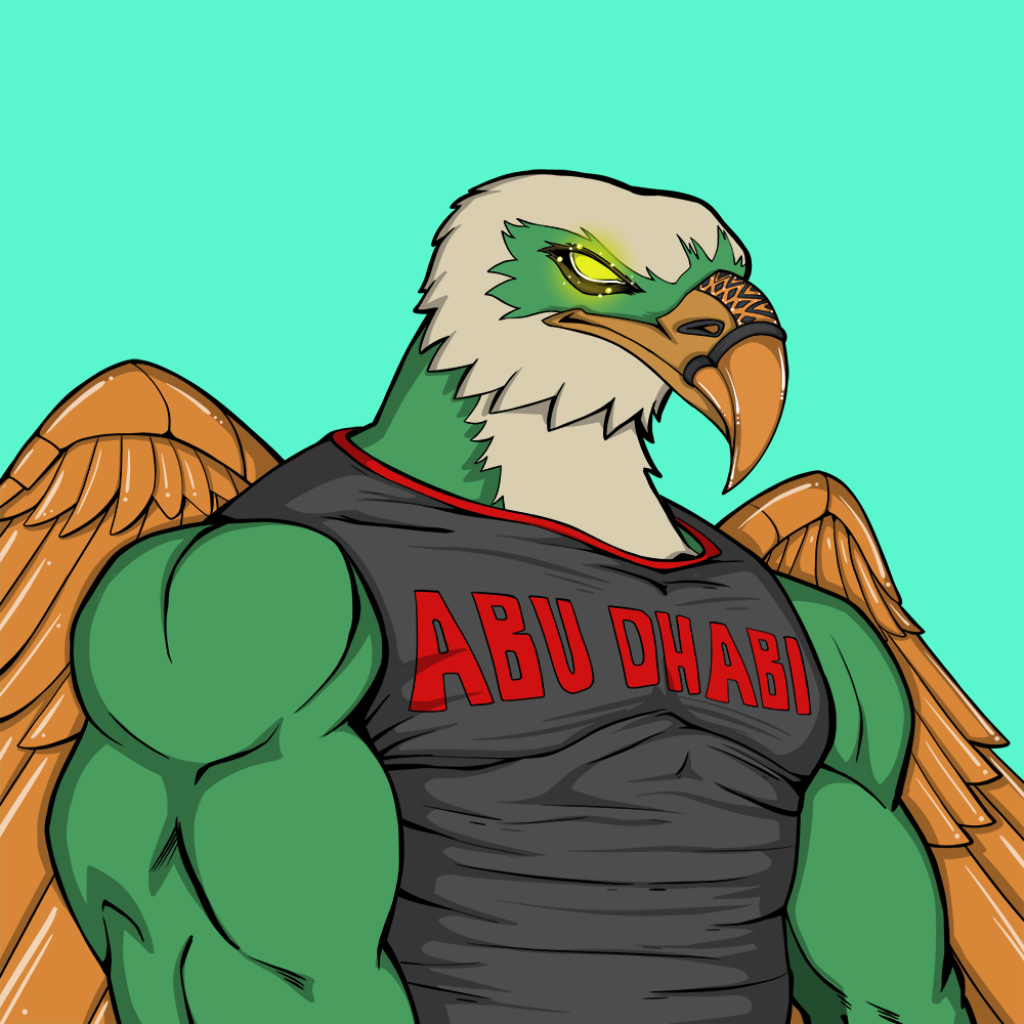 Front for Falcon040
