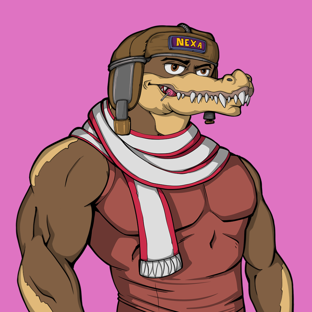 Front for Miami Gator 294