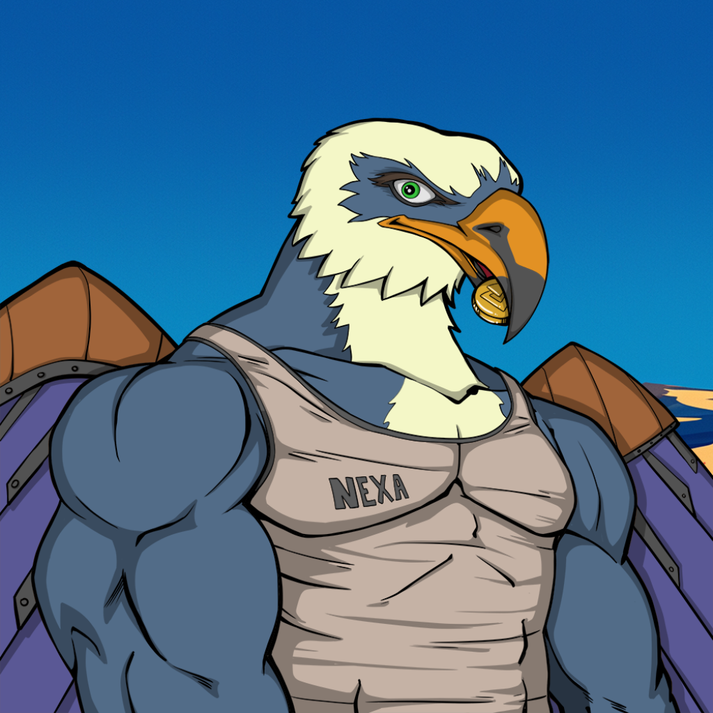 Front for Falcon347