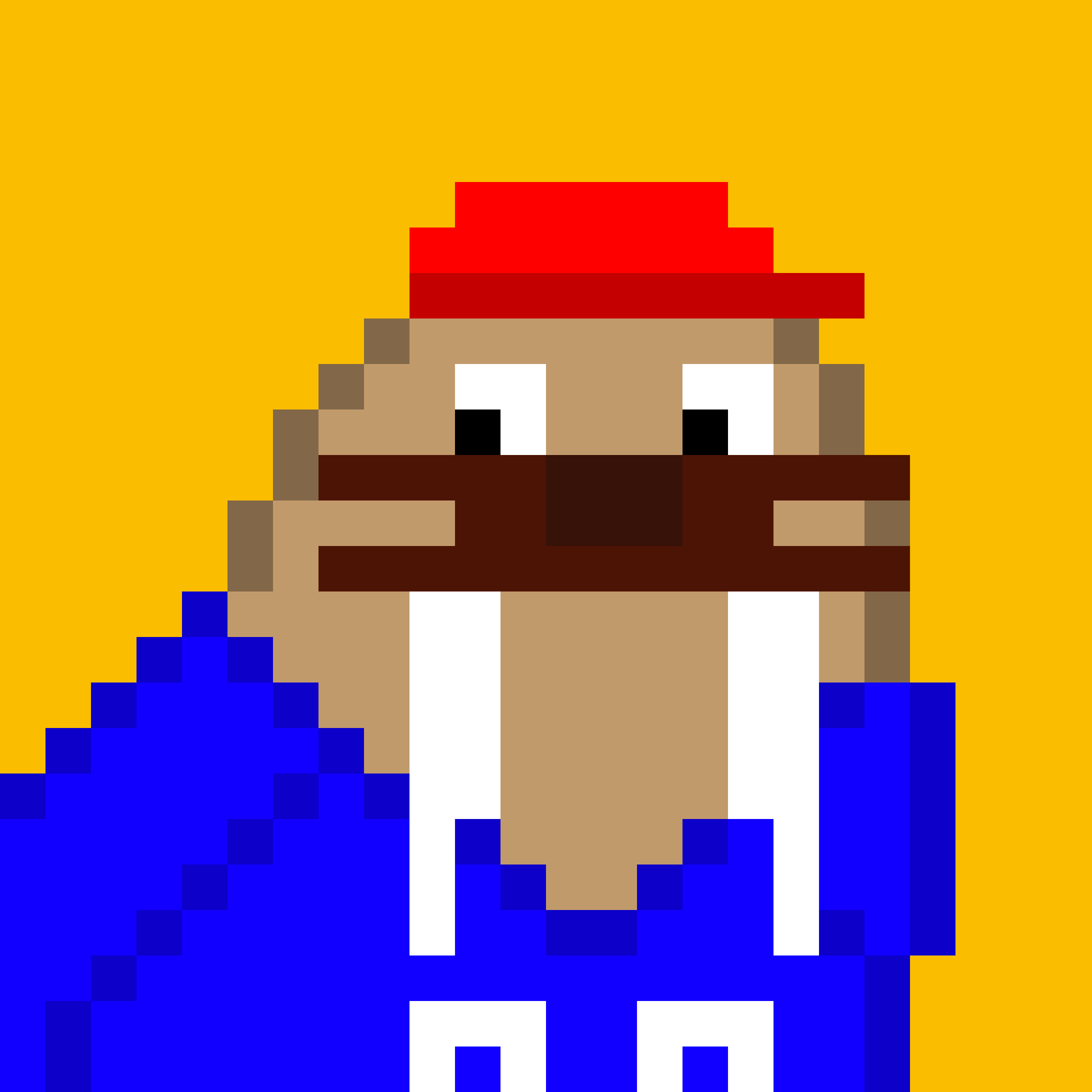 Front for Frosty Walrus #030