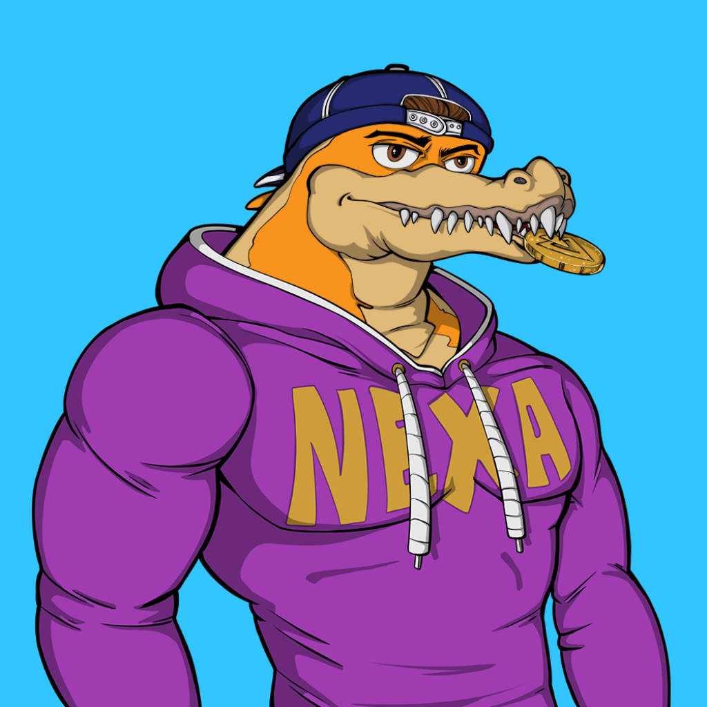 Front for Miami Gator 421