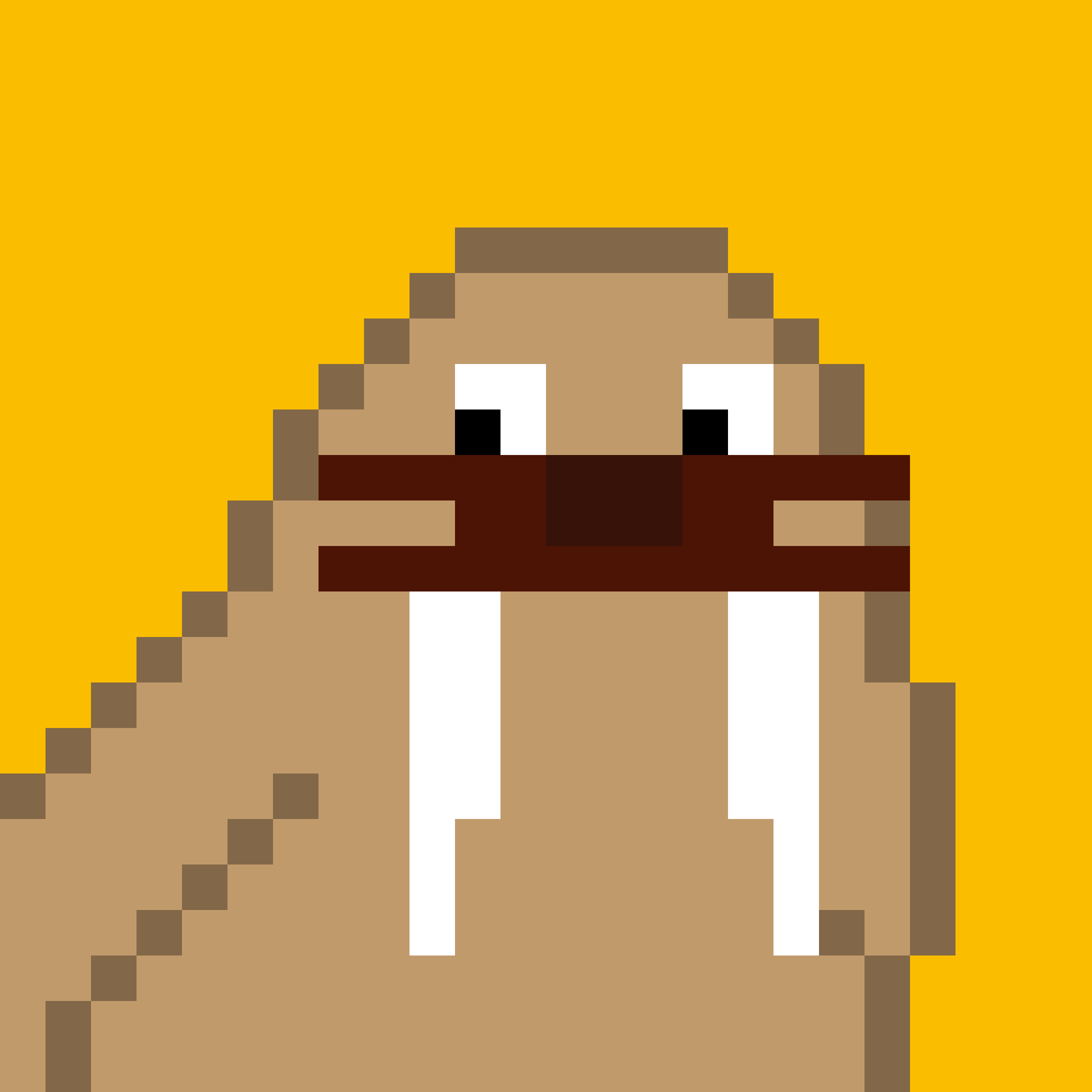 Public for Frosty Walrus #453