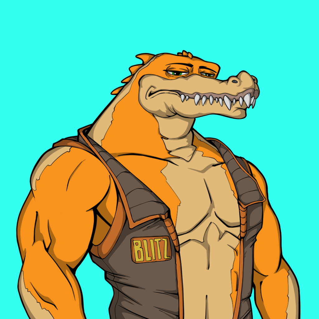 Front for Miami Gator 207