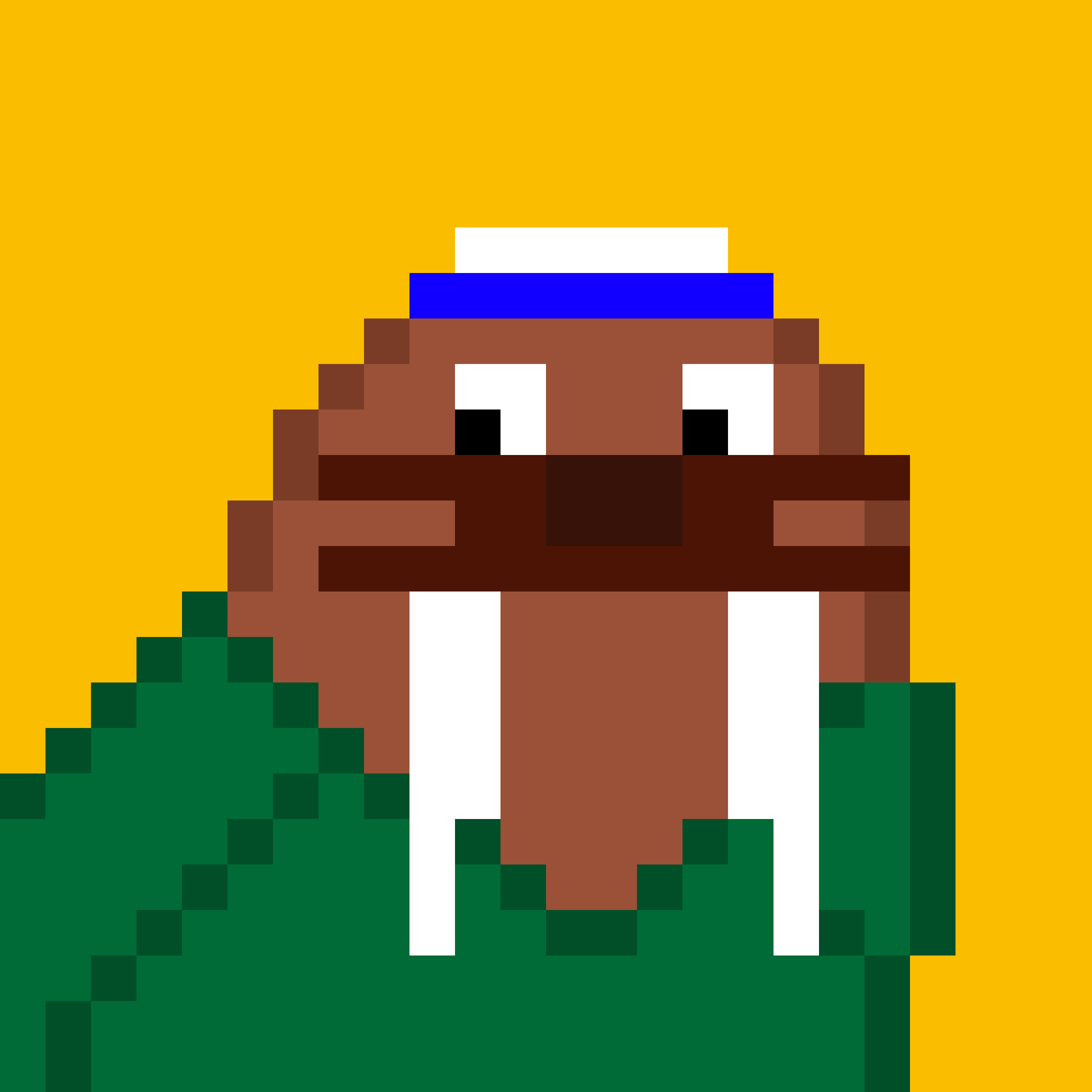 Public for Frosty Walrus #077