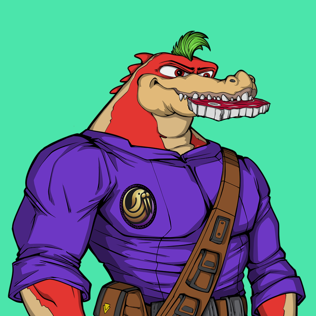 Front for Miami Gator 398