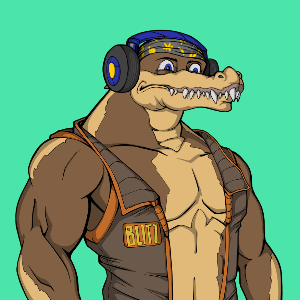 Front for Miami Gator 129