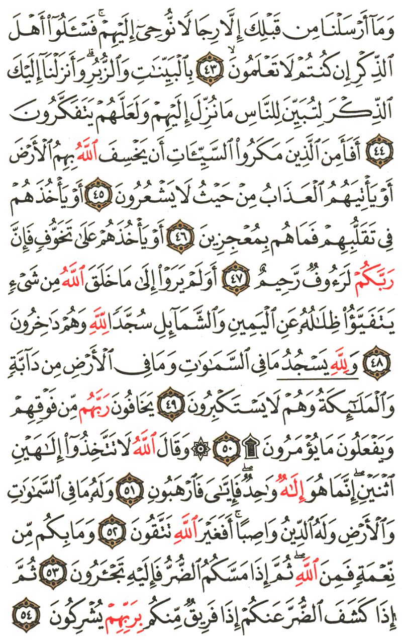 Front for سورة النحل  The Bees #5