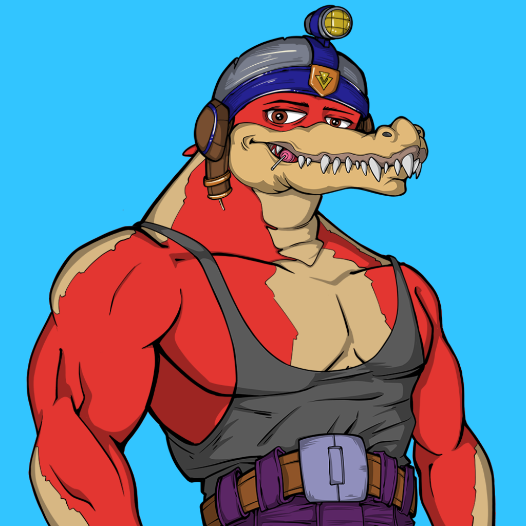 Front for Miami Gator 146