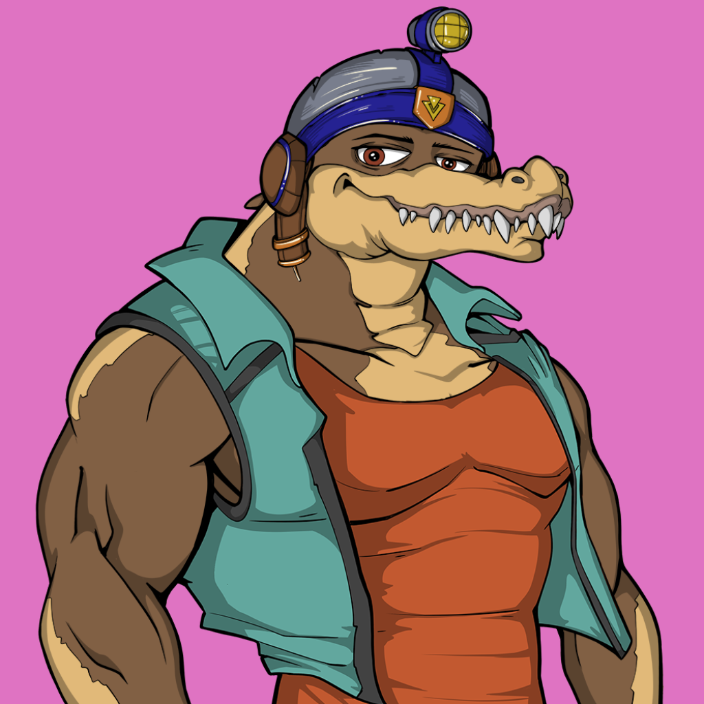 Front for Miami Gator 119