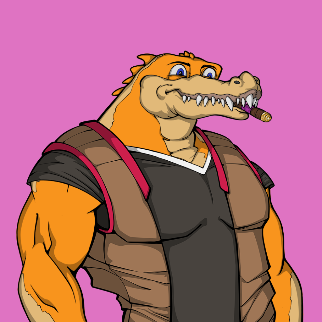 Front for Miami Gator 408