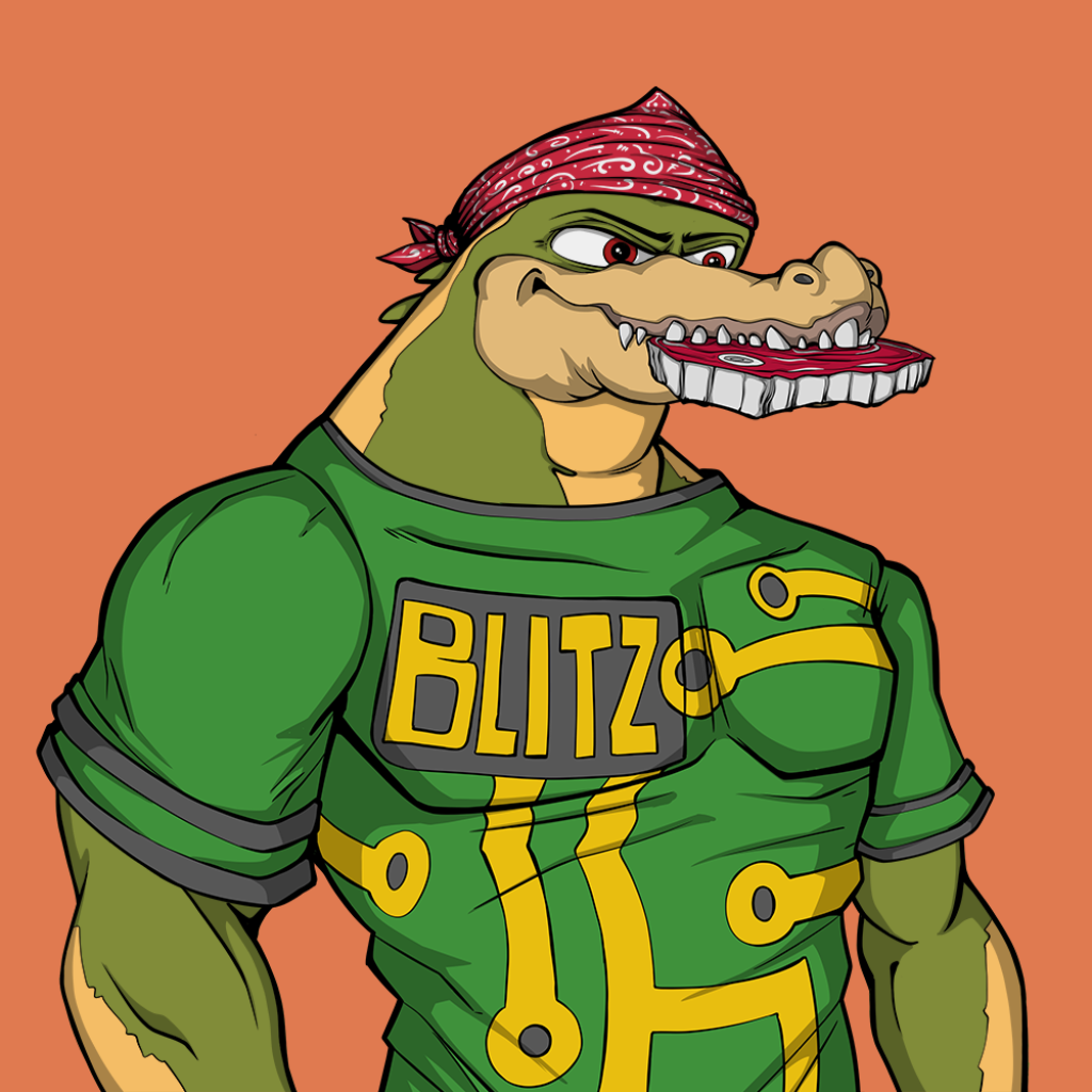 Front for Miami Gator 462