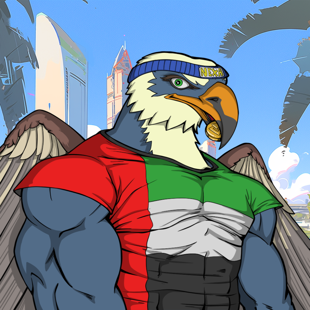 Front for Falcon343
