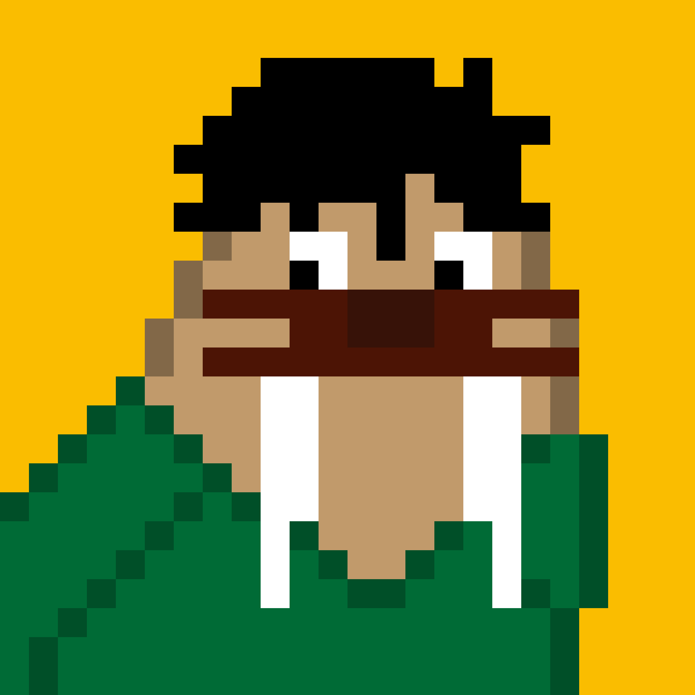 Public for Frosty Walrus #106