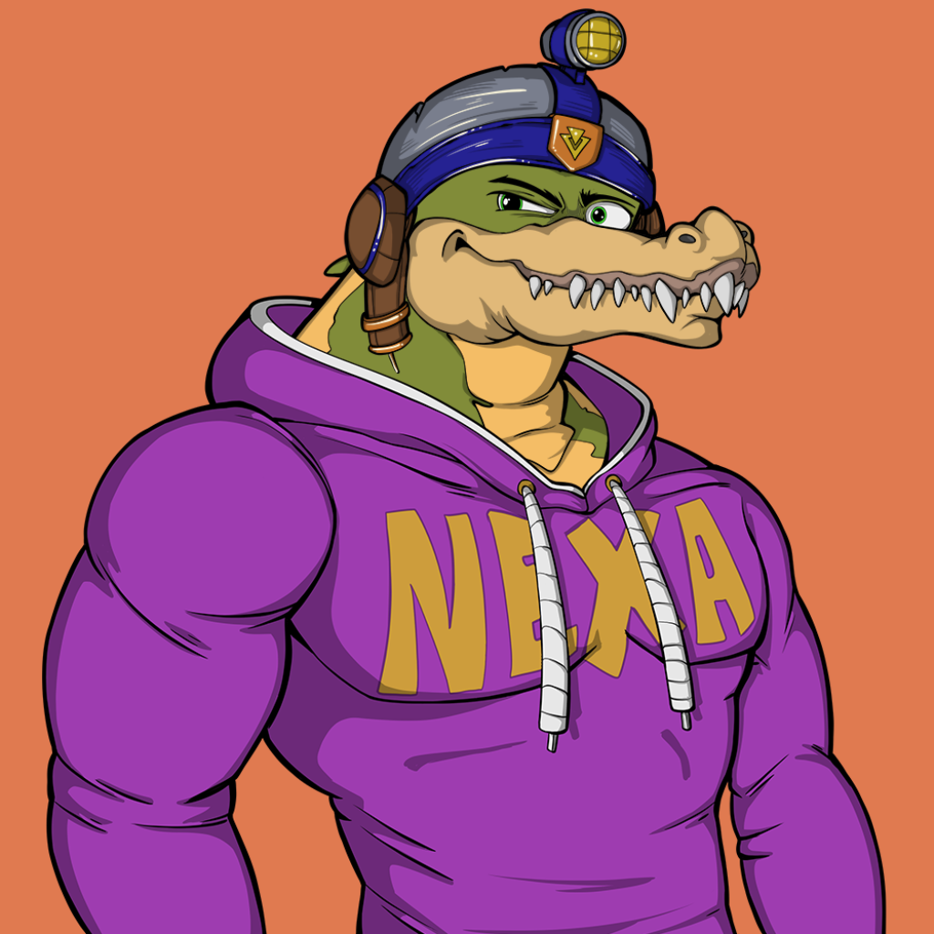 Front for Miami Gator 234