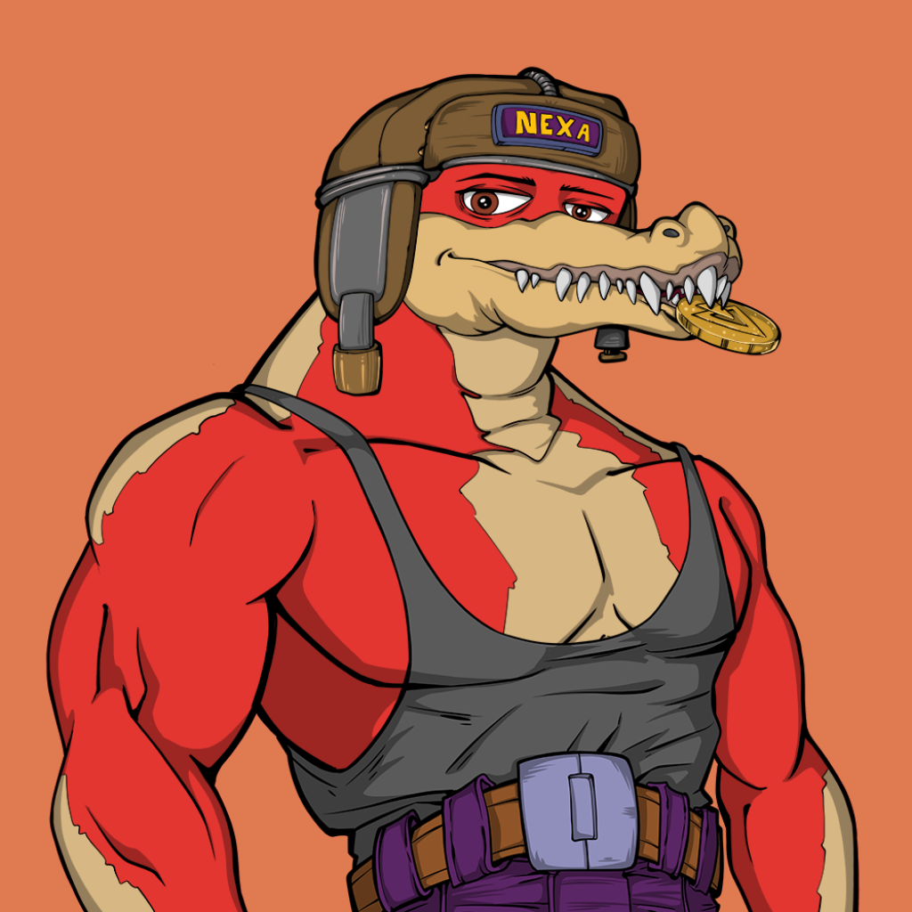 Front for Miami Gator 397