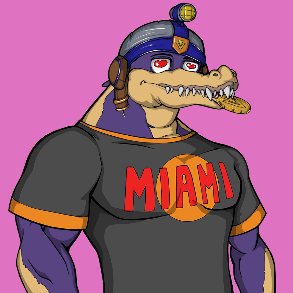 Front for Miami Gator 204
