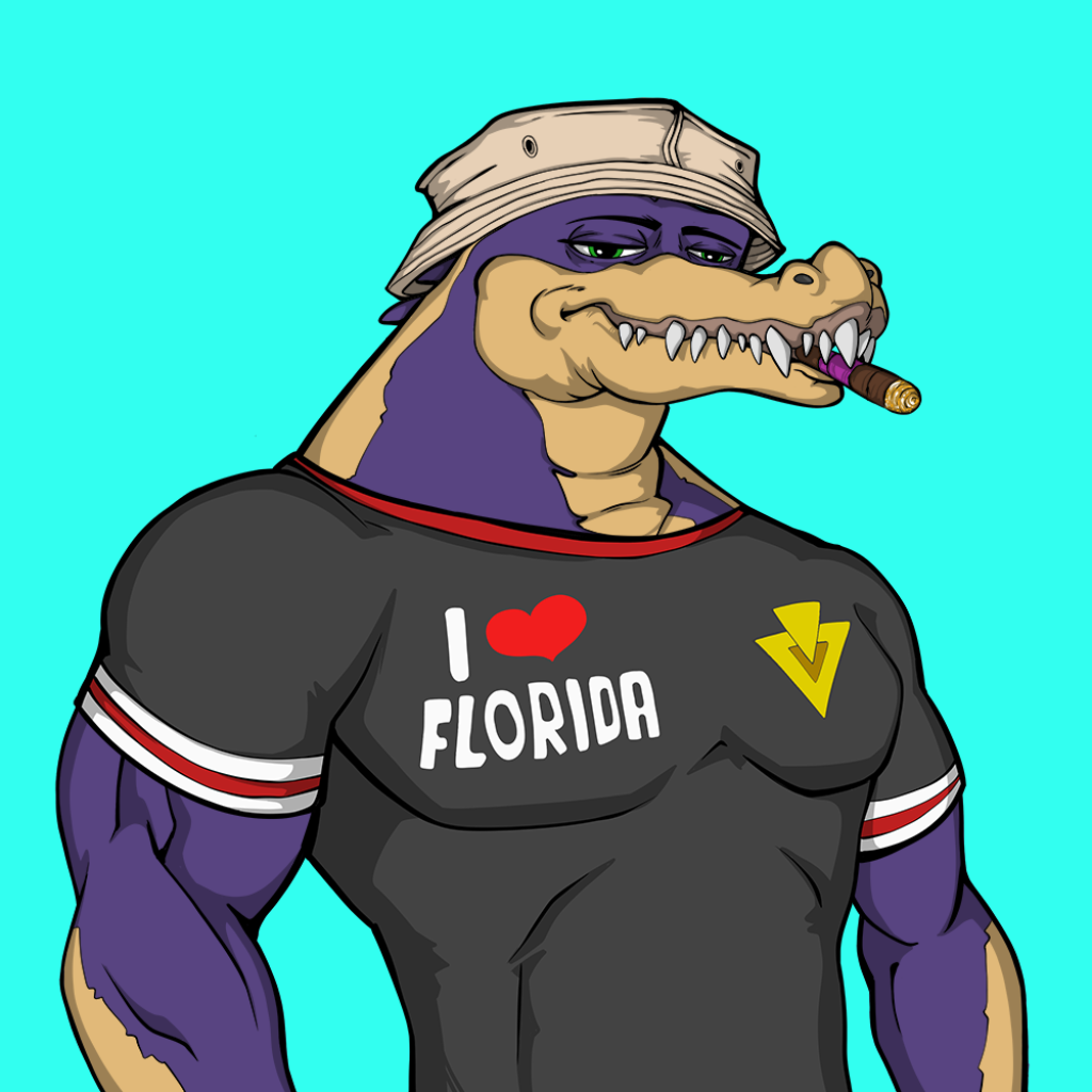 Front for Miami Gator 264