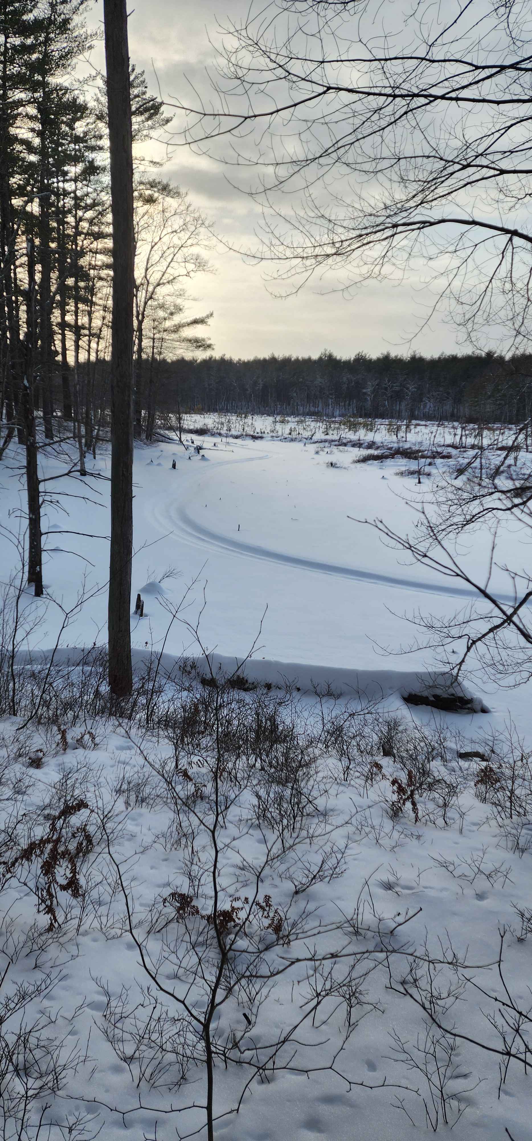 Front for Snow Track