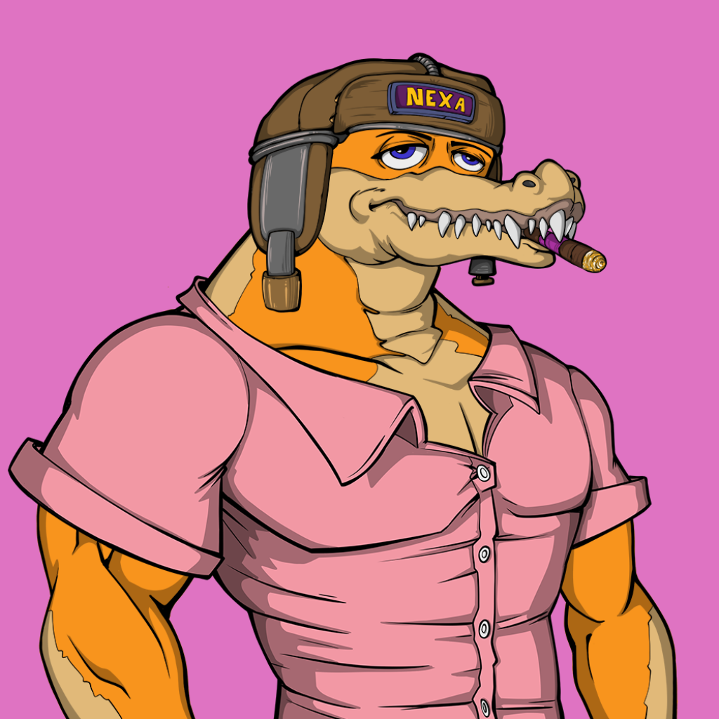 Front for Miami Gator 446