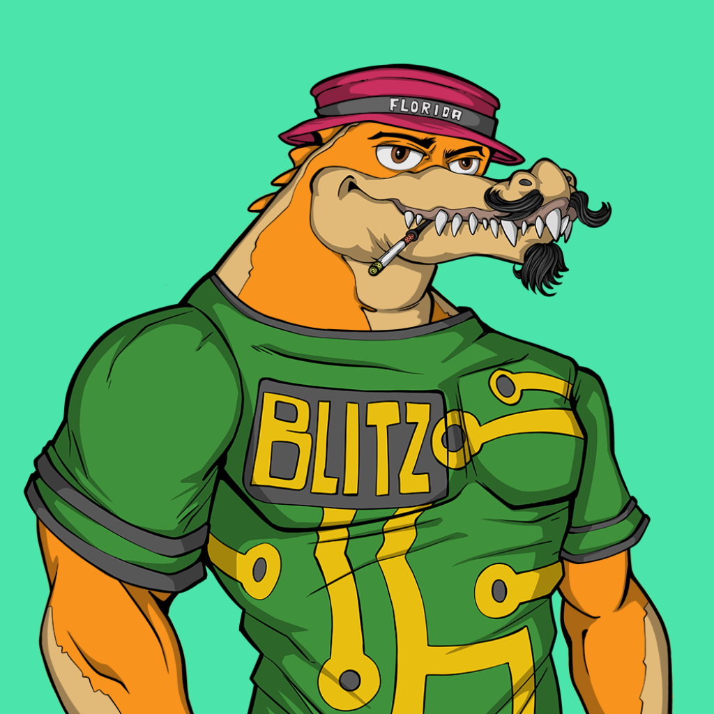 Front for Miami Gator 313