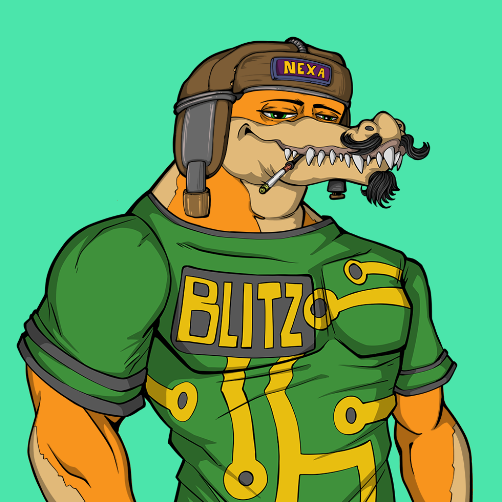 Front for Miami Gator 431