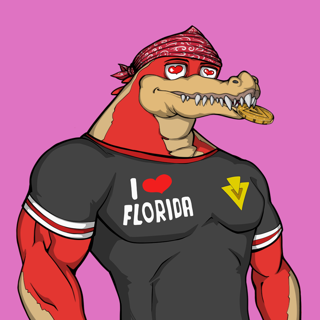 Front for Miami Gator 382