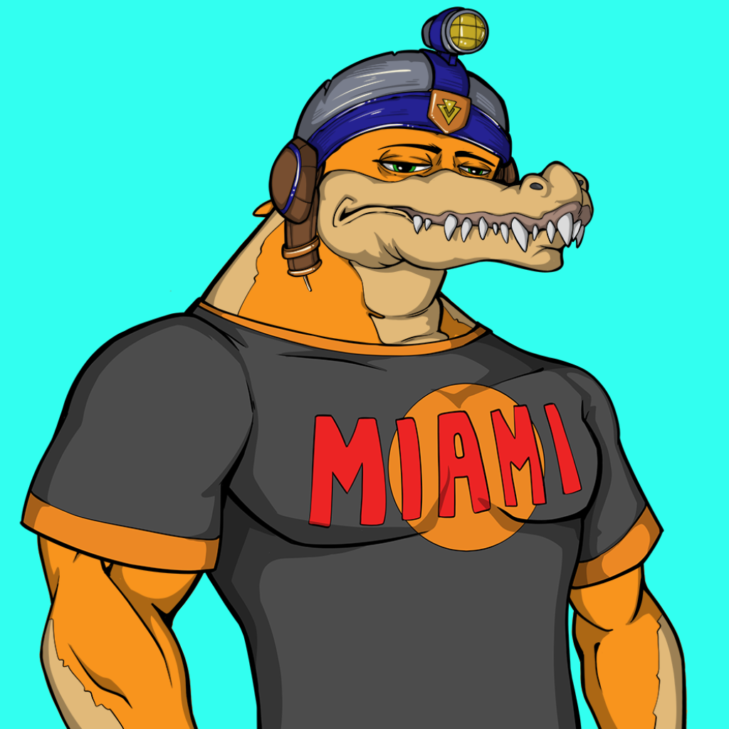 Front for Miami Gator 145