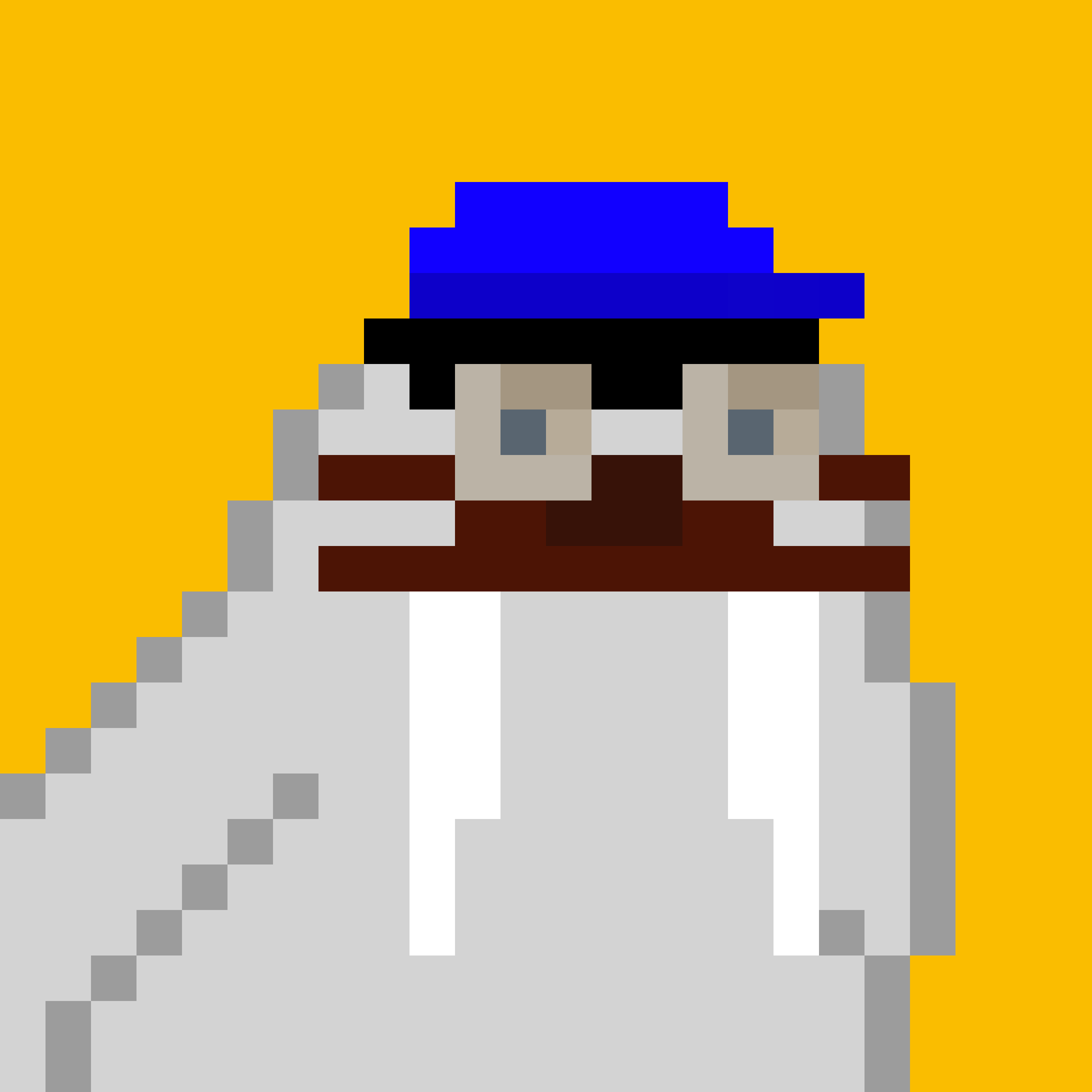 Public for Frosty Walrus #080