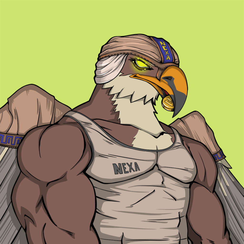 Front for Falcon016