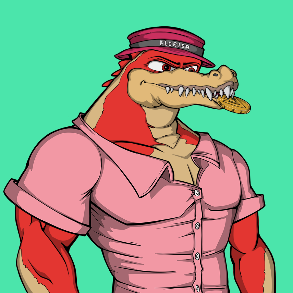 Front for Miami Gator 438