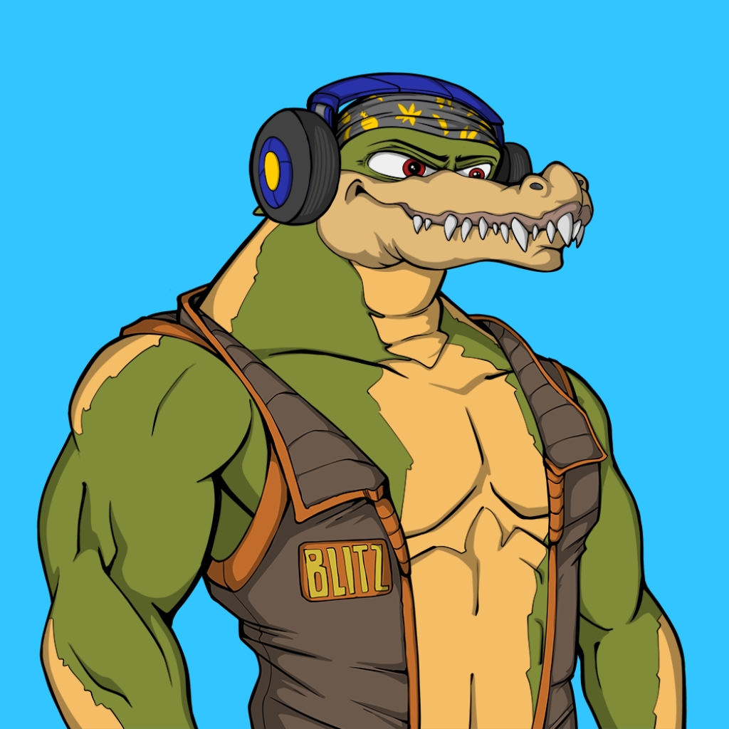 Front for Miami Gator 074