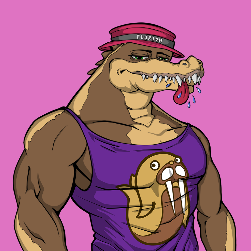Front for Miami Gator 380