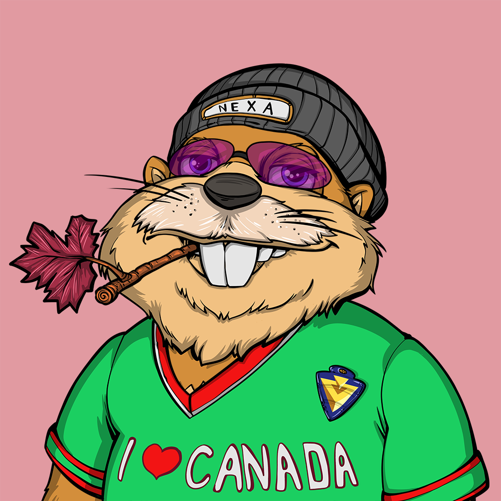 Front for Beef Beaver 114