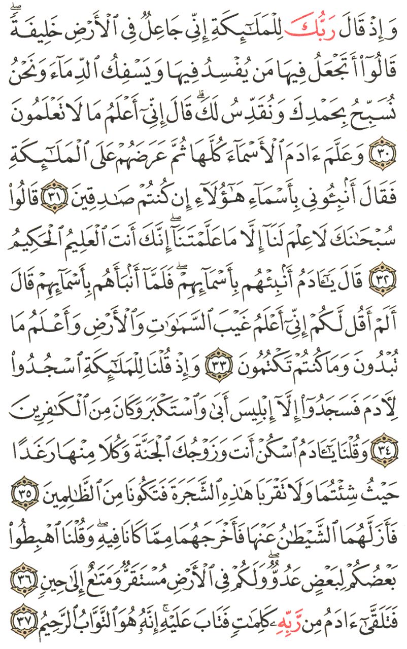 Front for سورة البقرة The Cow #5