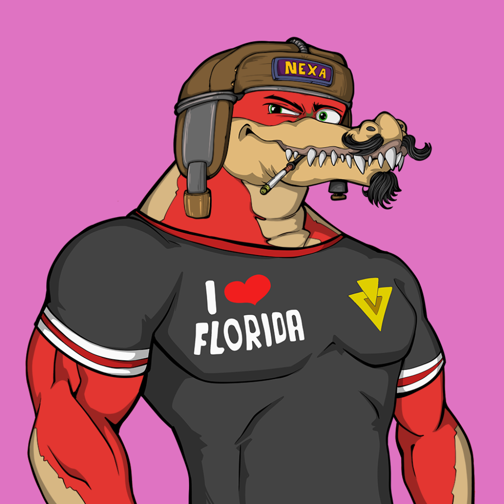 Front for Miami Gator 236