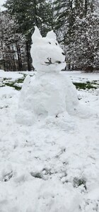 Front for Snow Dog
