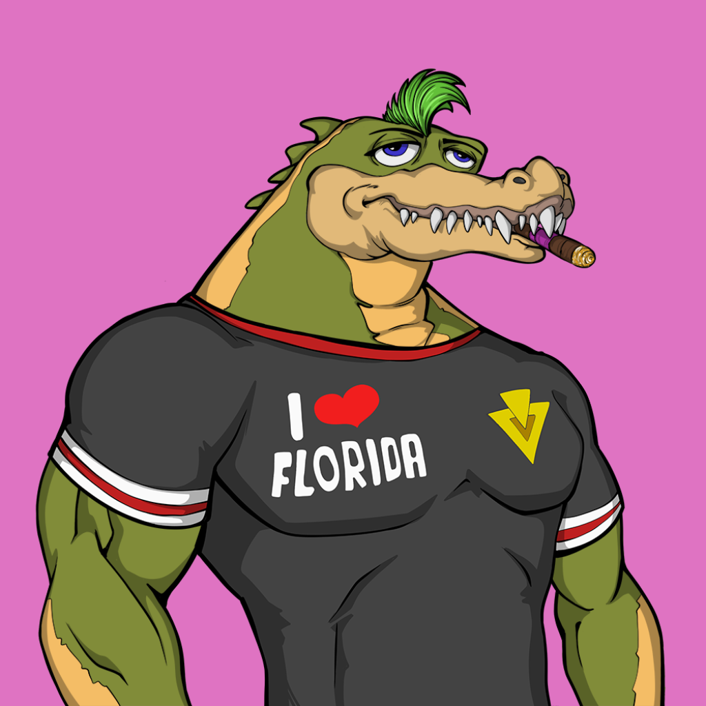 Front for Miami Gator 100