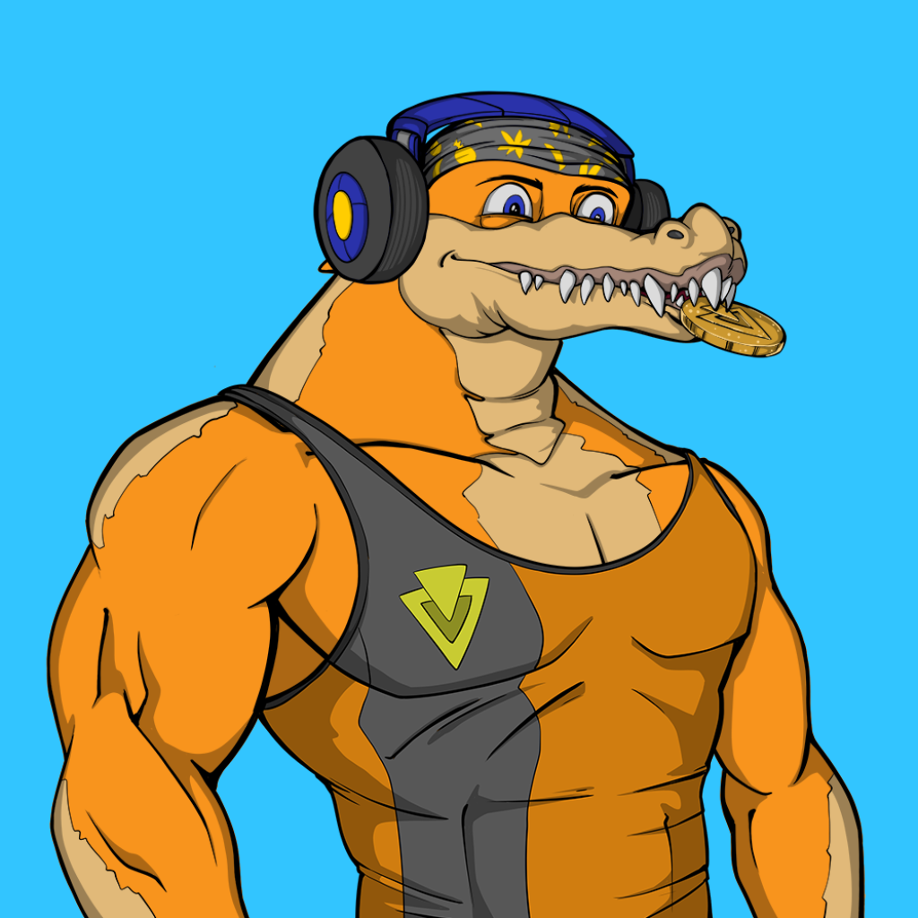 Front for Miami Gator 321