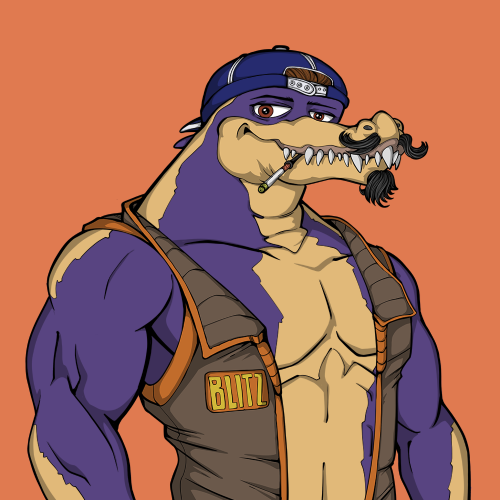 Front for Miami Gator 211