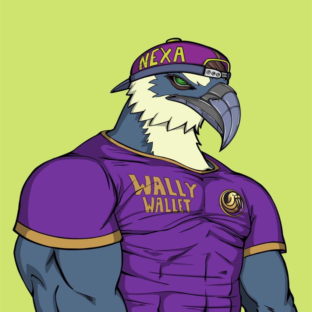 Front for Falcon491