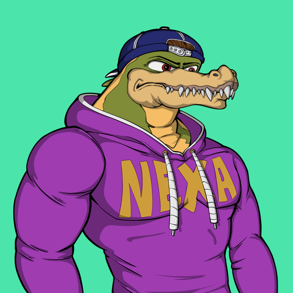 Front for Miami Gator 344