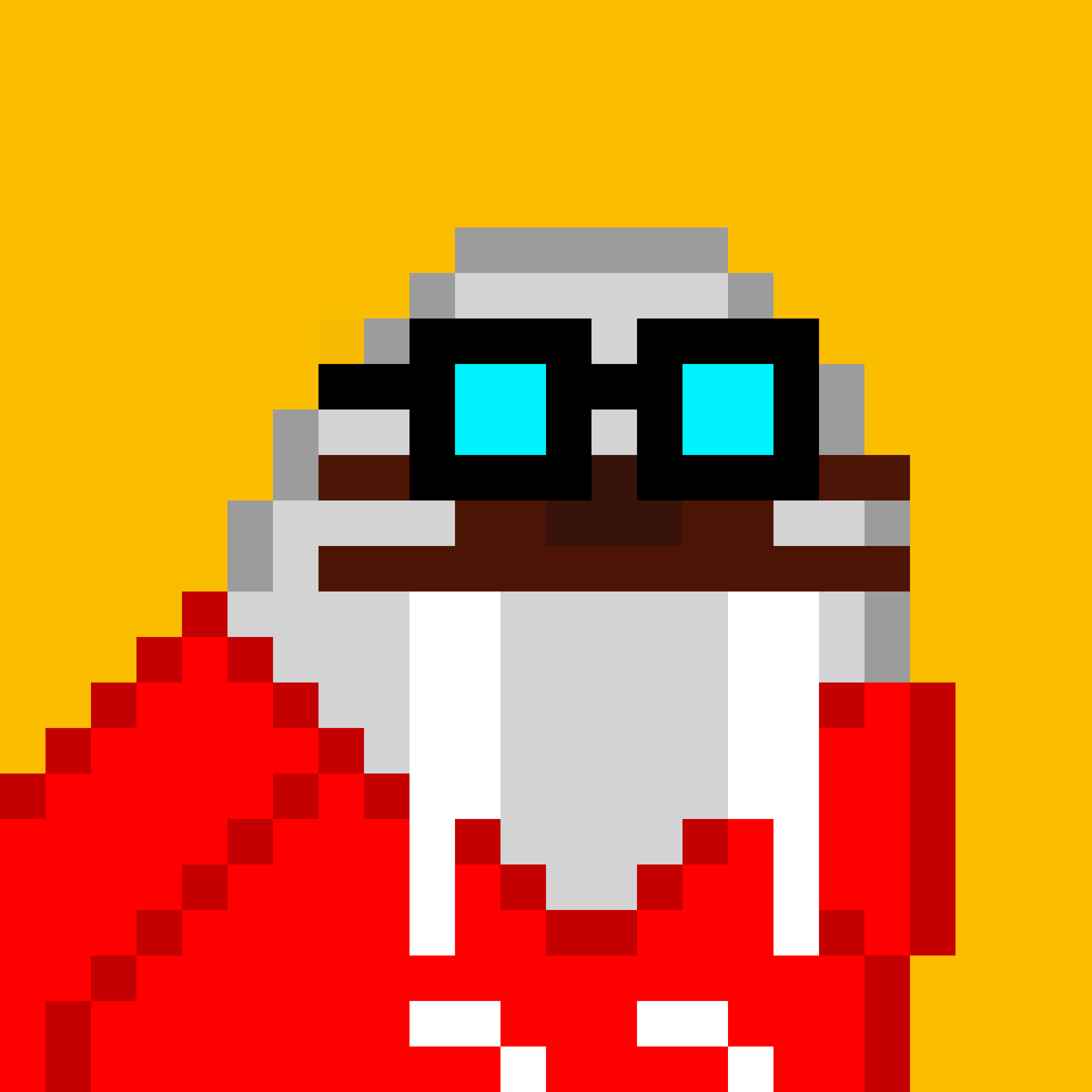 Public for Frosty Walrus #257