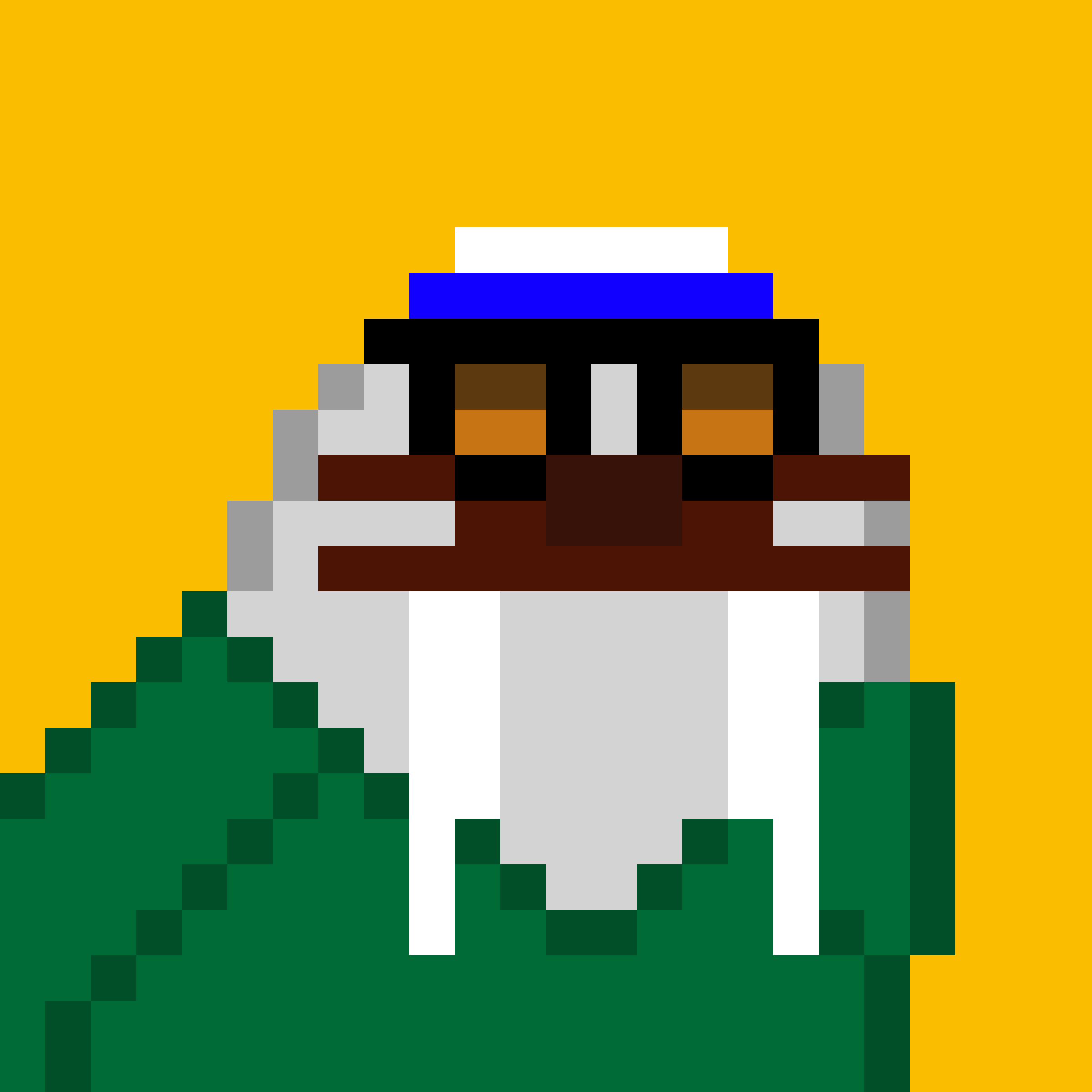 Public for Frosty Walrus #563