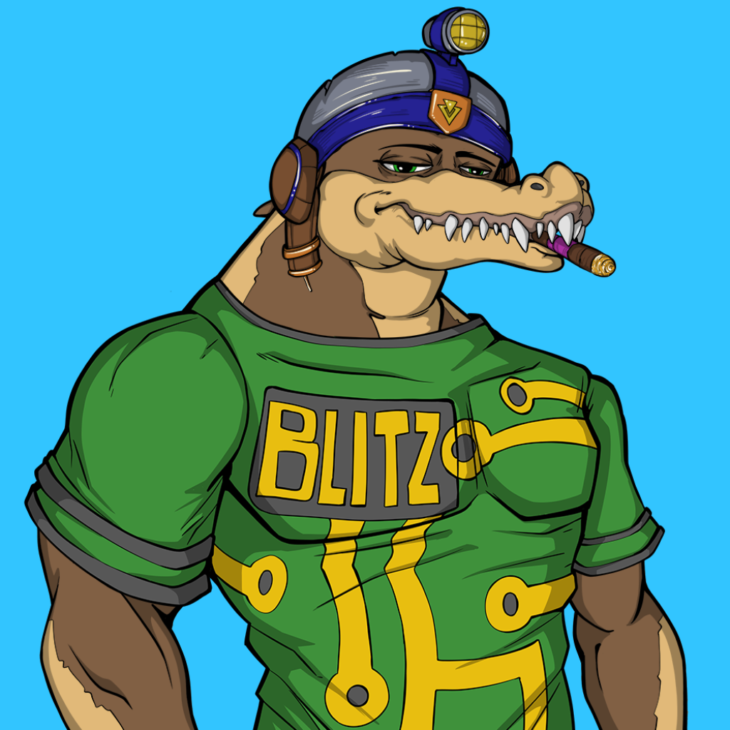 Front for Miami Gator 305