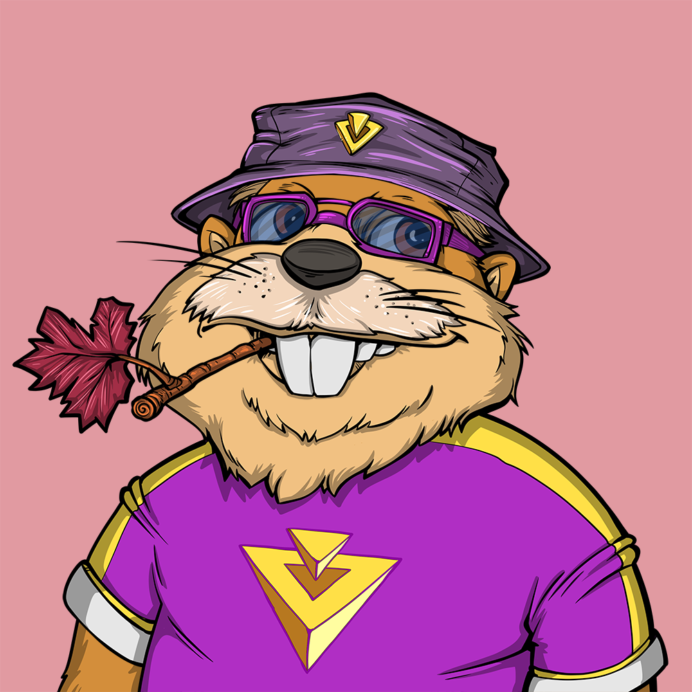 Front for Beef Beaver 042