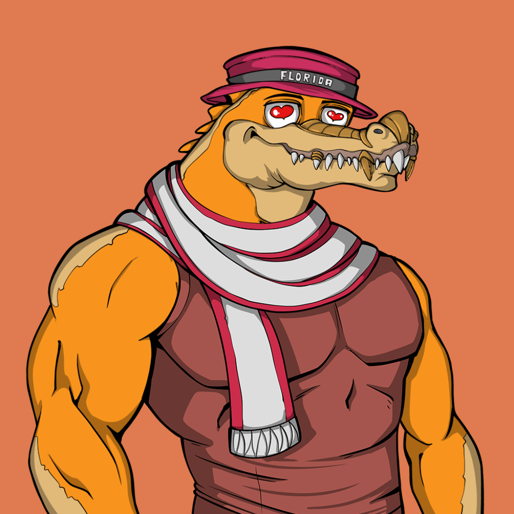 Front for Miami Gator 381