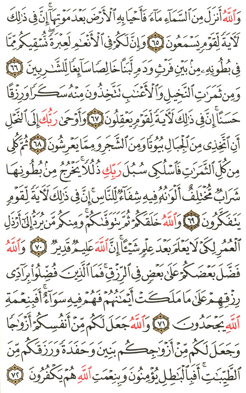 Front for سورة النحل  The Bees #7